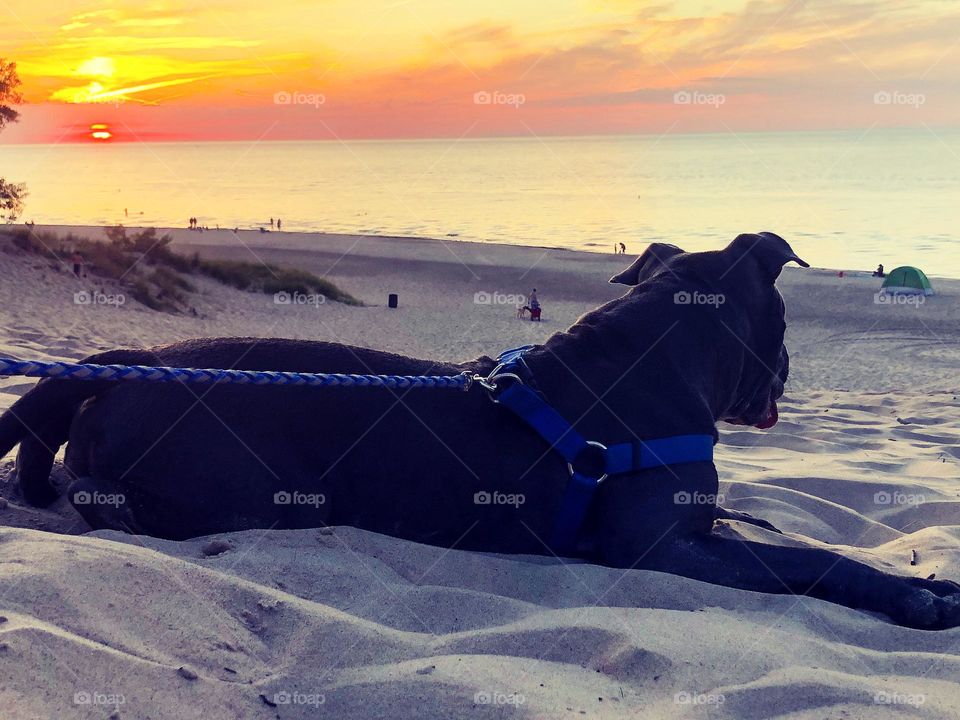 Indiana sand dunes sunset