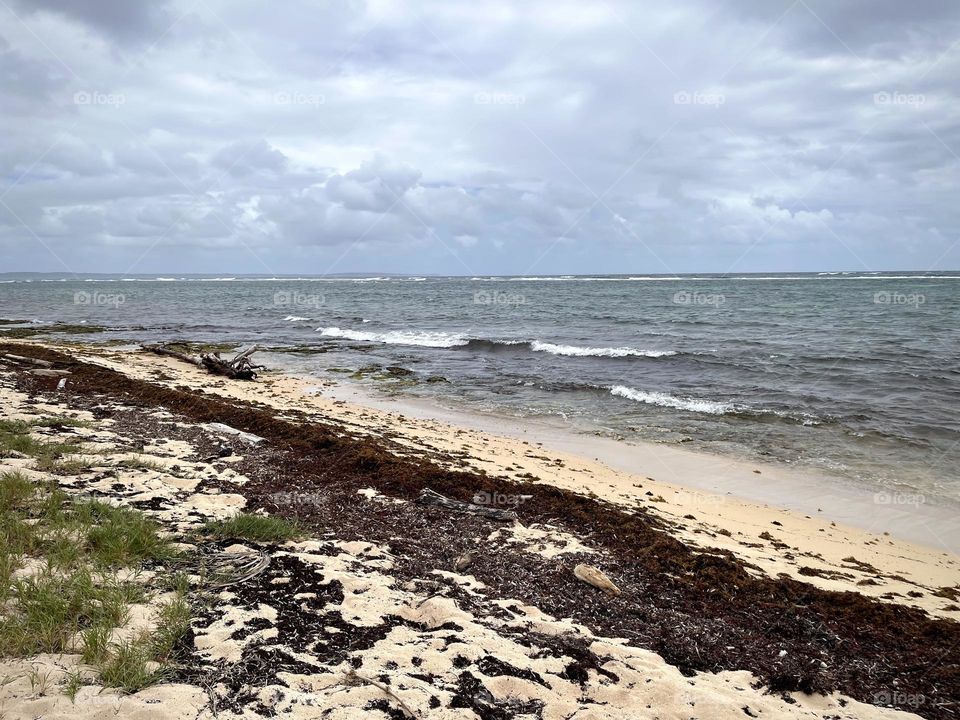 Wild Caribbean beach of the Caribbean