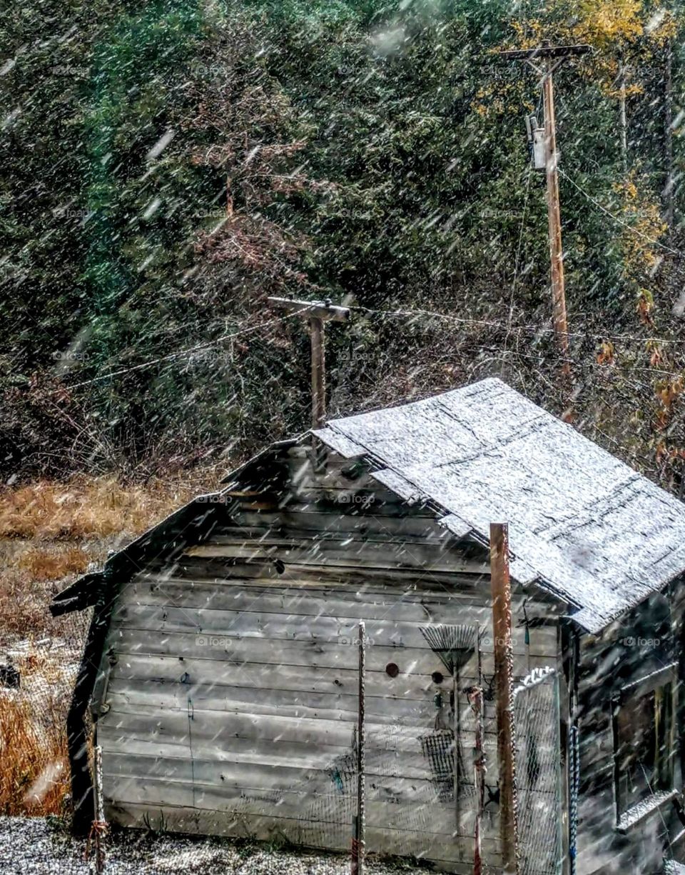 Old Shed