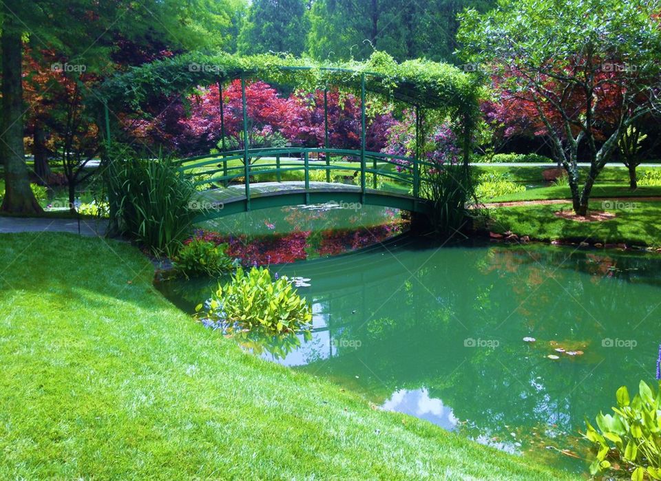 Bridge archway over pond