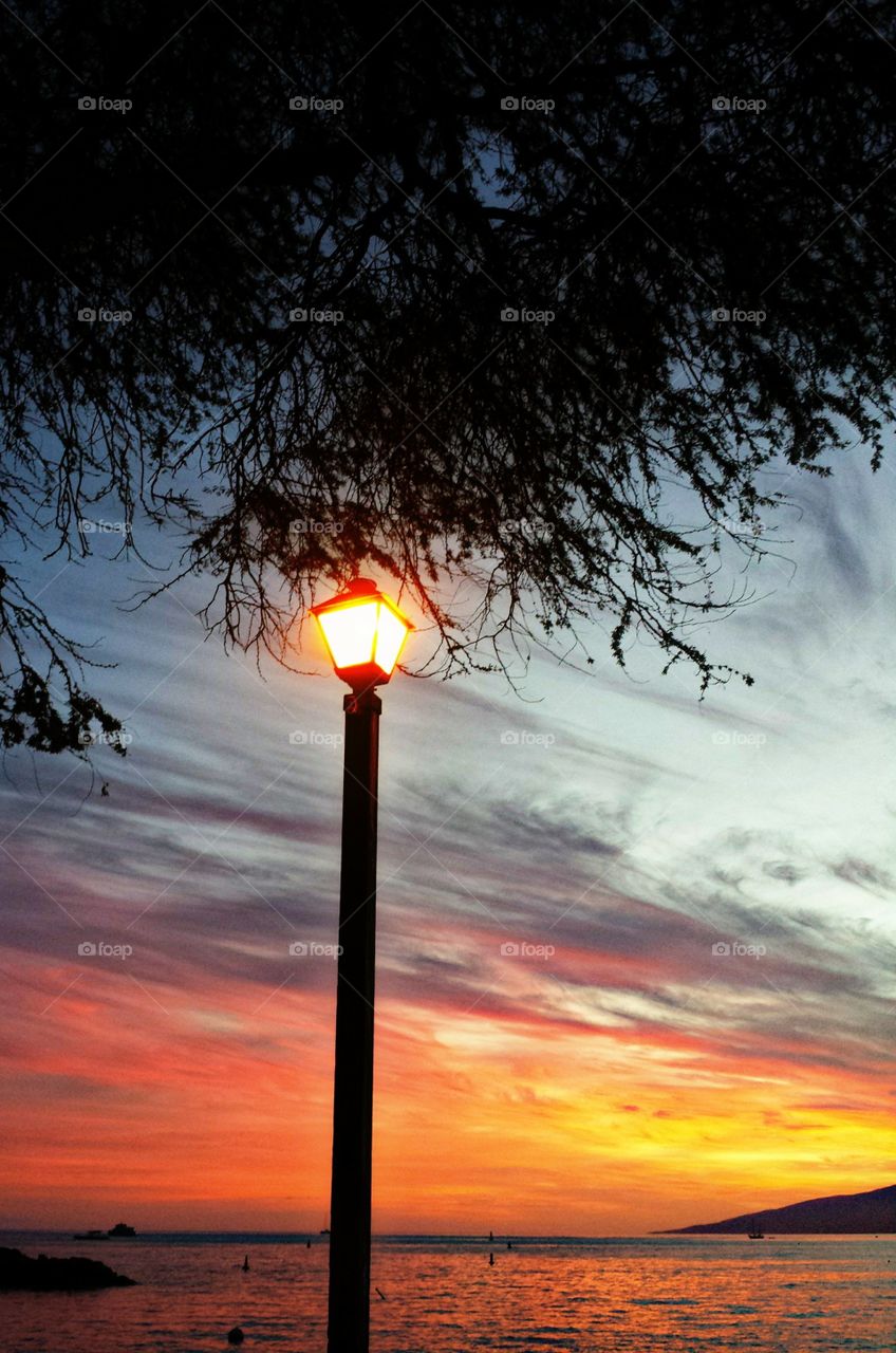 Sunset light. Sunset light