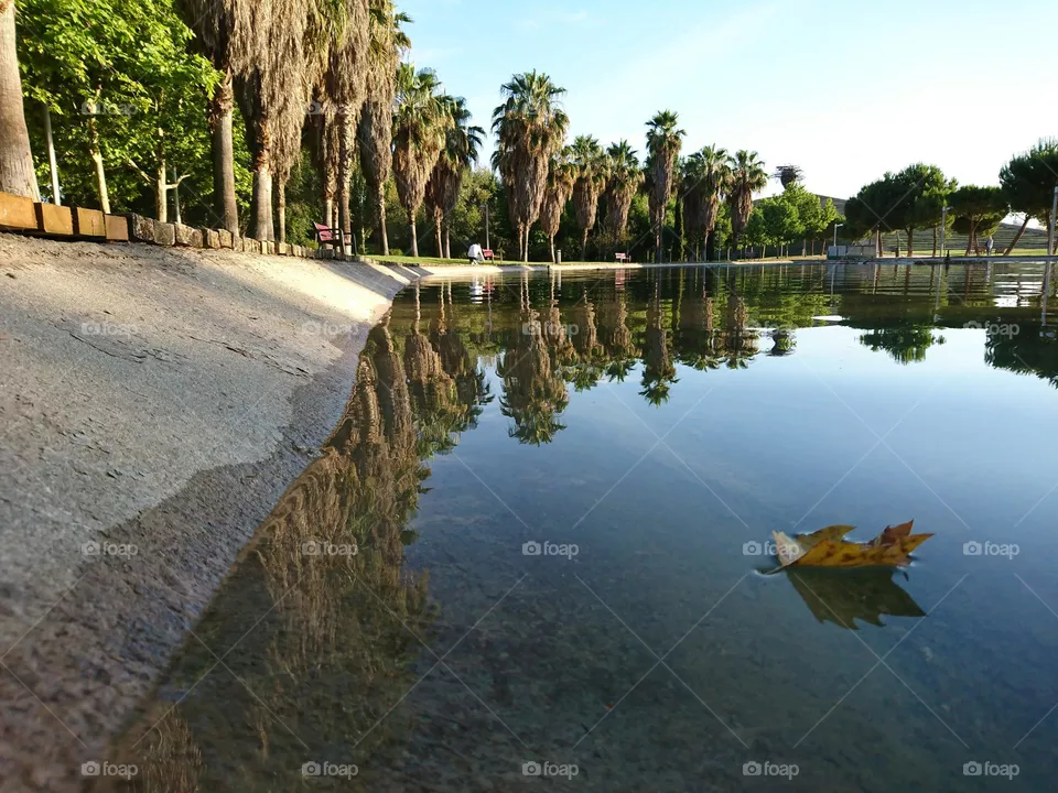 El lago 