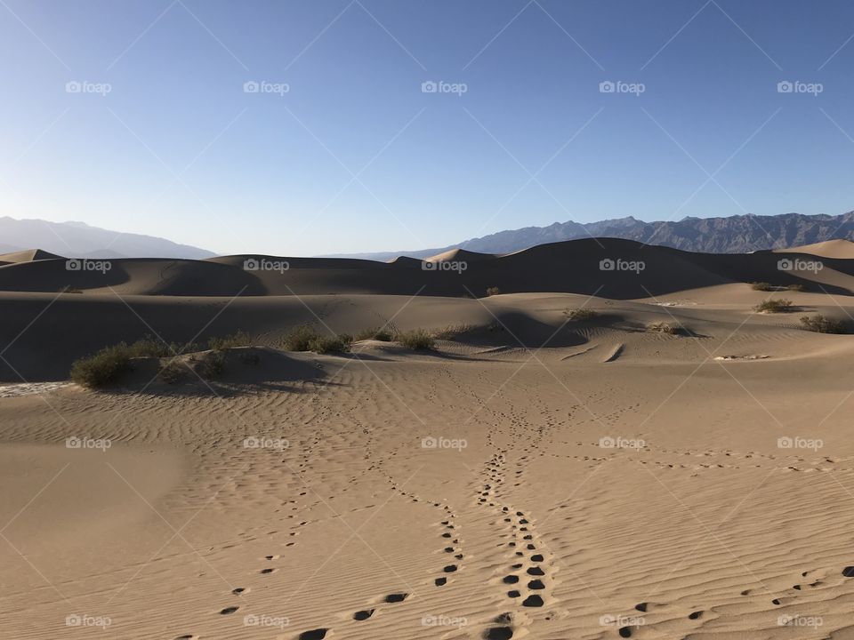 The dunes of death valley