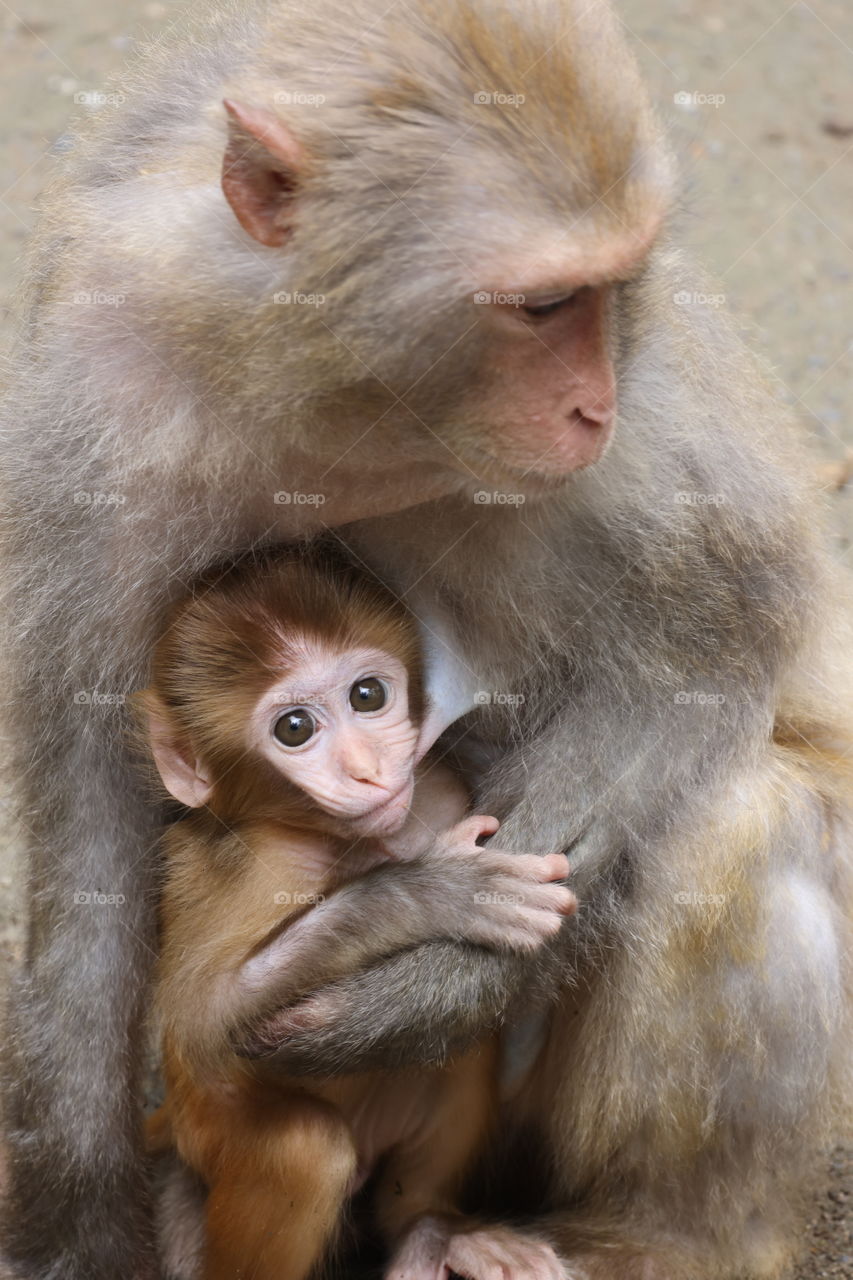 feeding