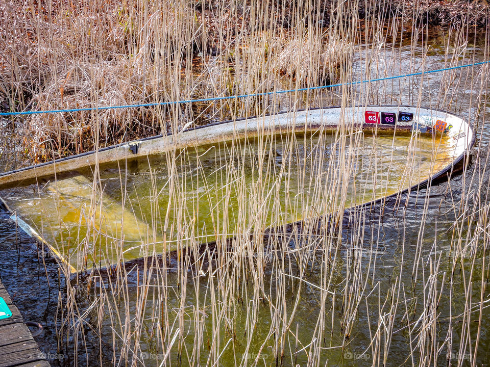 Boat filled with water.