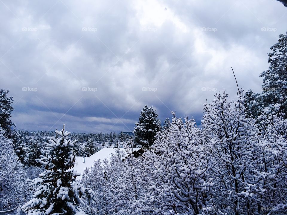 Winter mountains