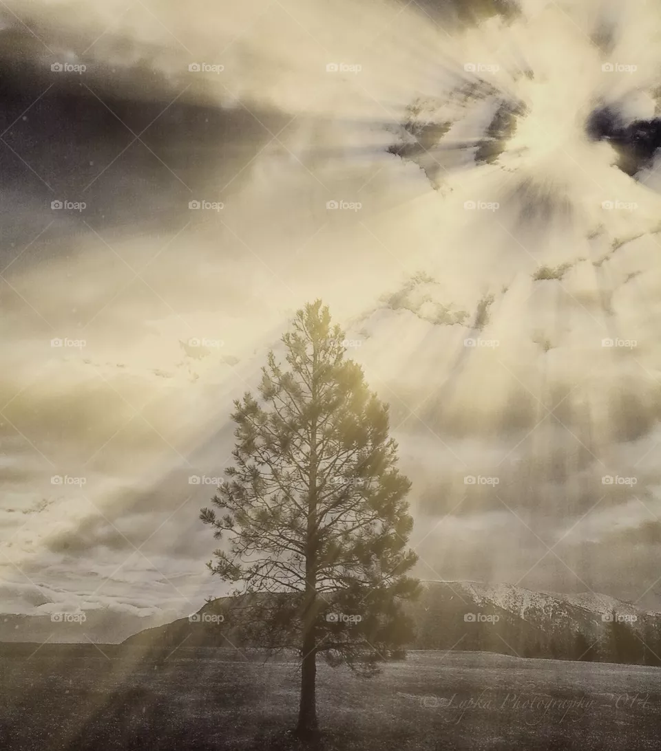 Shine Down