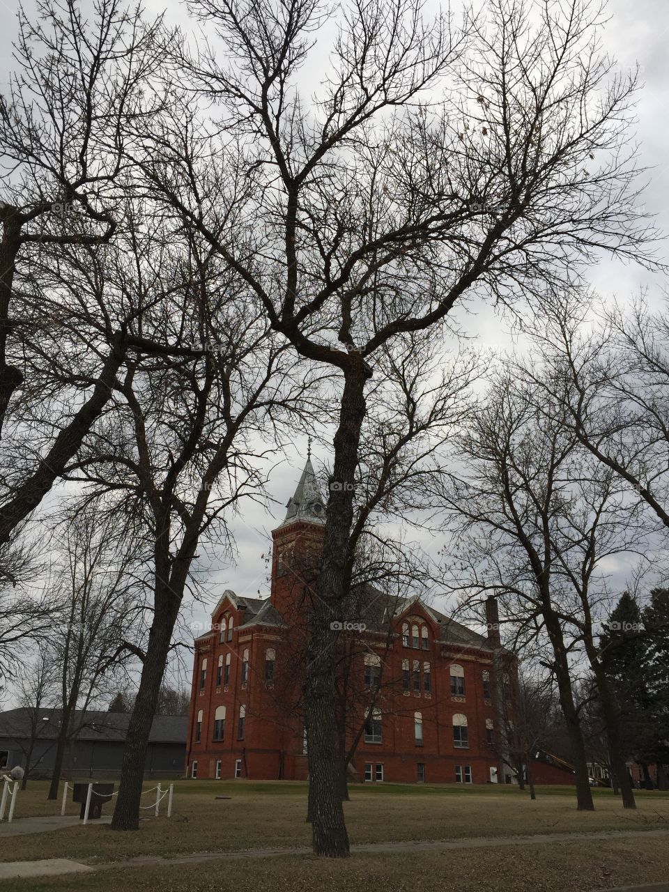 No Person, Tree, Outdoors, Home, Architecture