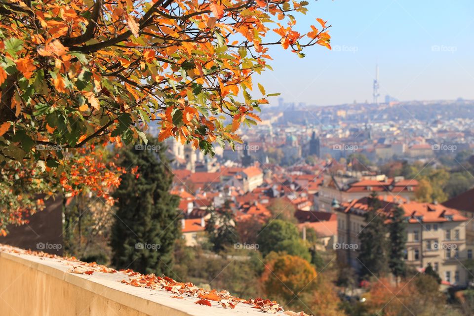 Top view on the autumn city