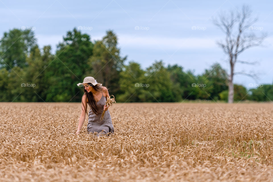 a young and beautiful woman in a cereal field is picking ears