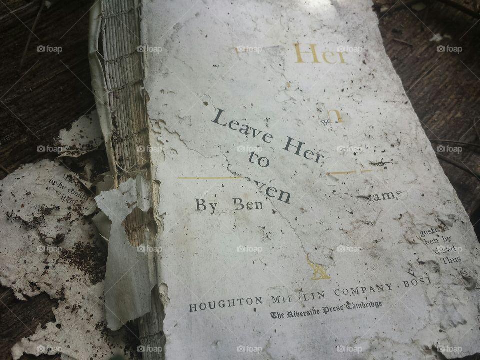 Leave Her to Heaven book