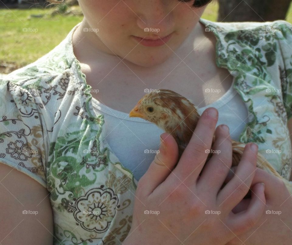 A helpless chick safe in the arms of a child.