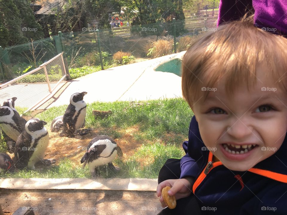 Fun at the zoo!