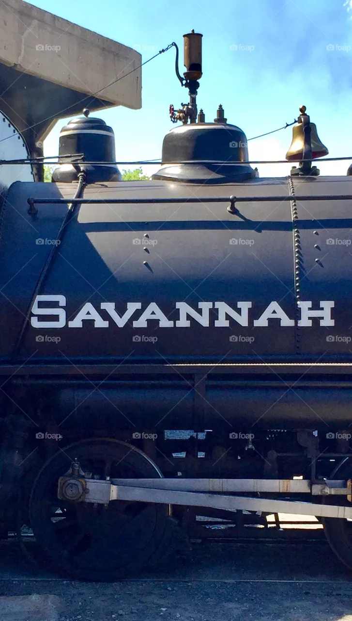 Savannah