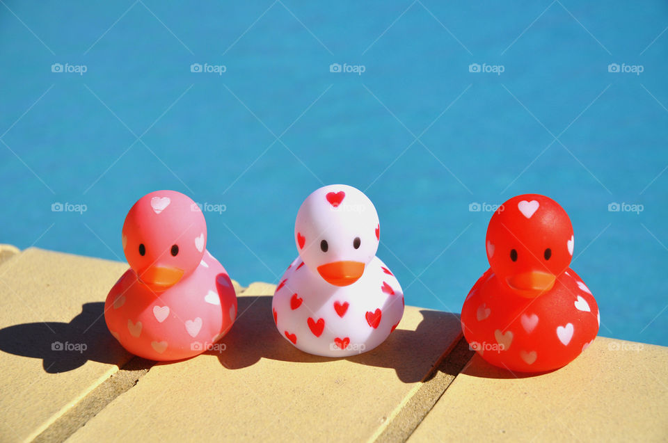 Rubber ducks by the swimming pool. 