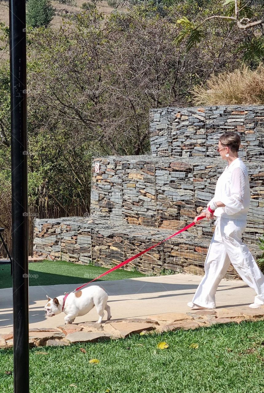 lady walking her dog