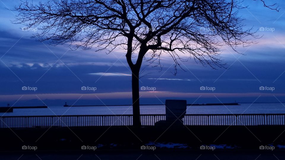 sunset in winter with tree