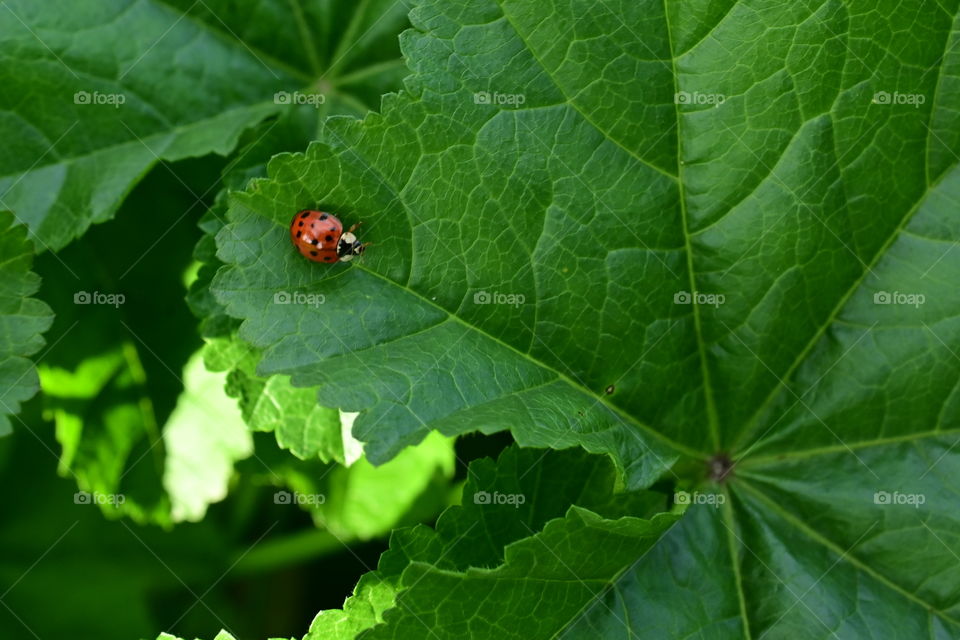 Be different in spring 