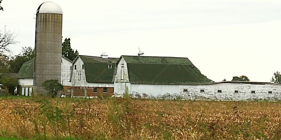 Old Barns in Michigan