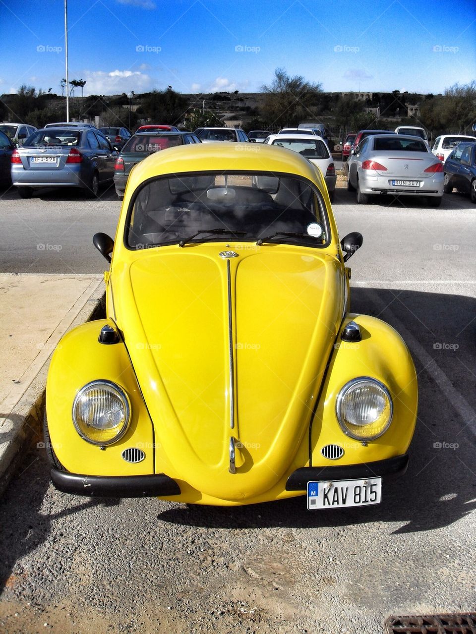 Yellow beetle