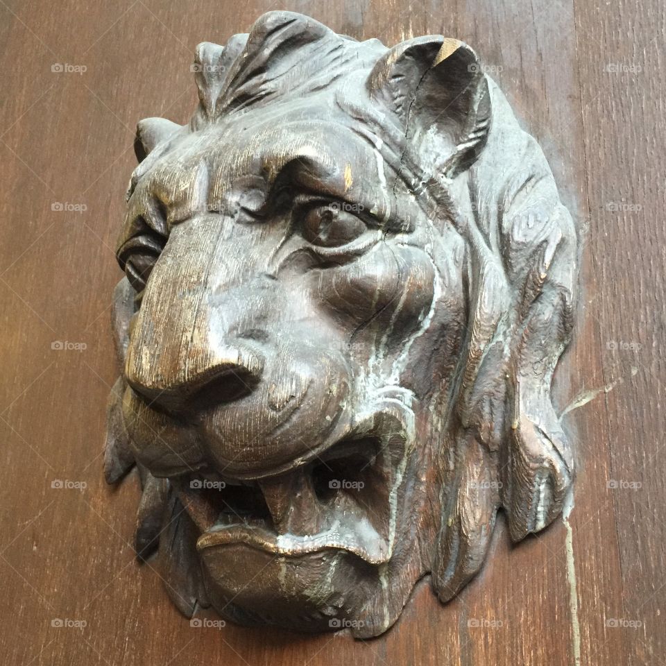Wooden Lion Door Sculpture 