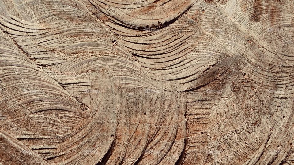 close up wood pettern