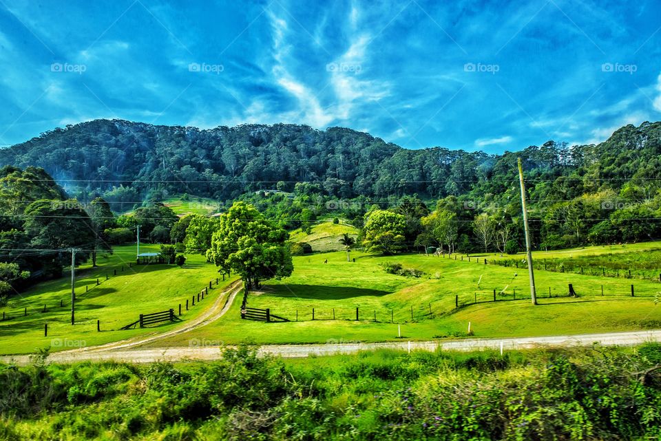 High angle view of farm