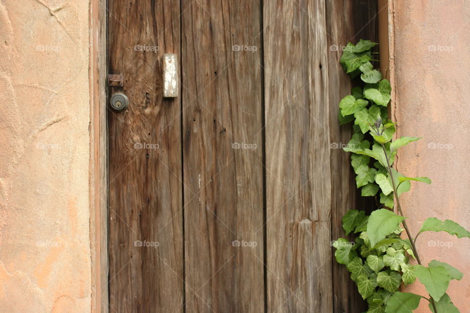 Tucked away in an alley, who knows how long it's been since this door was used. Very mysterious. Where does it lead?