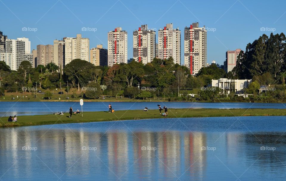 Summer in park