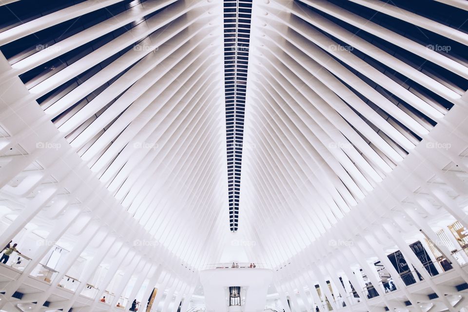 The oculus | NYC