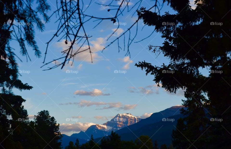 Mountain view in silhouette frame of branches