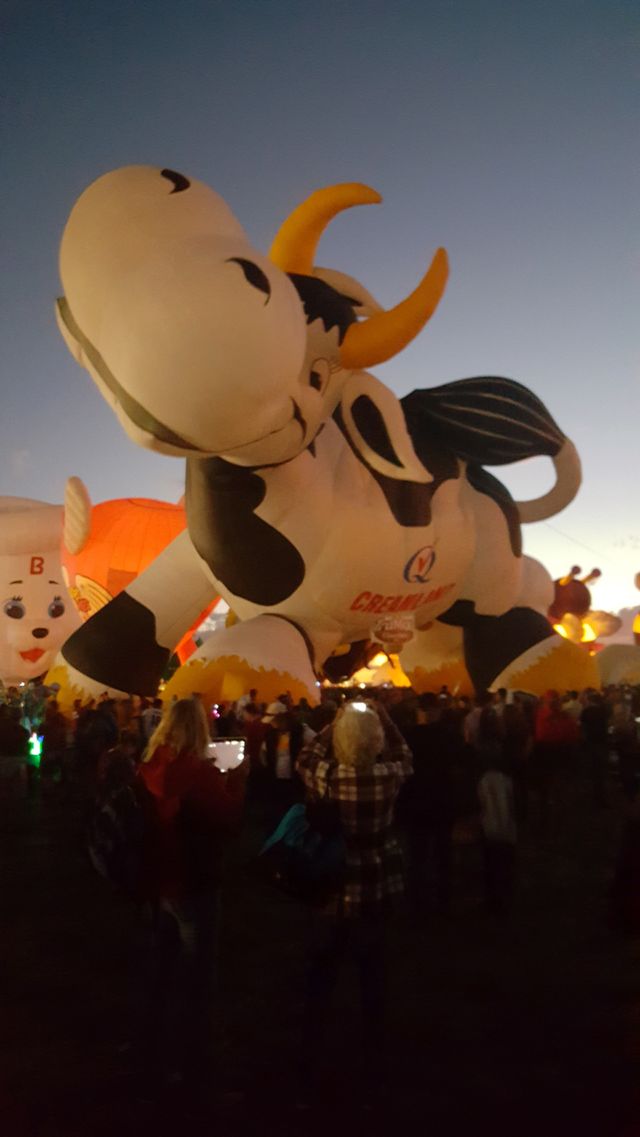 Cow balloon at Albuquerque Balloon Fiesta