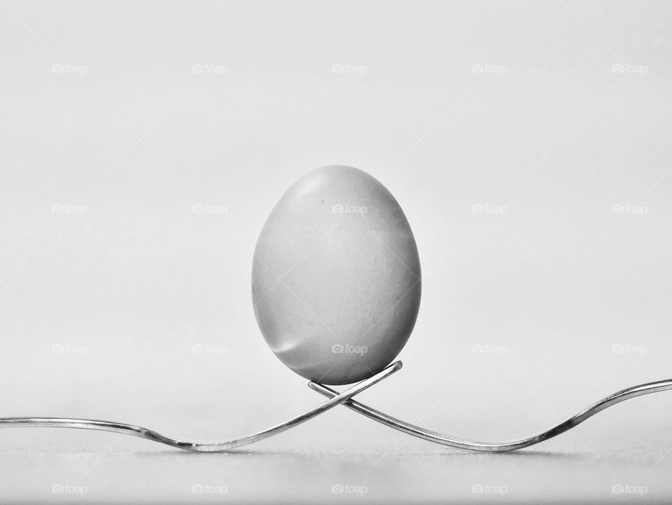 Egg portrait