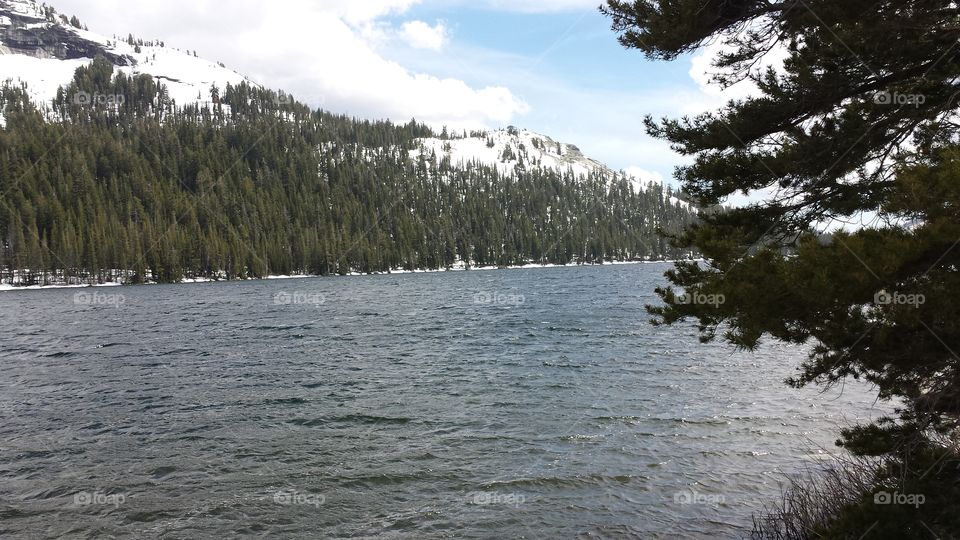 Landscape, Tree, Water, Lake, Scenic