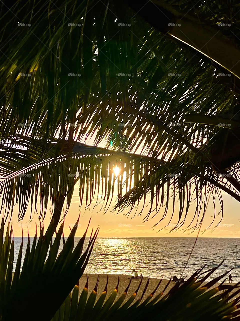 North Shore sunset