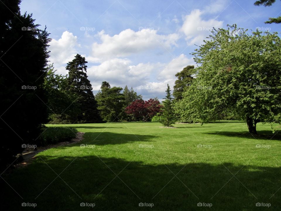 New York, Long Island, Nature, green leafs, burgundy leafs, trees, plants, outdoors, calm, relax, shades, grass, colors, sky, Clouds 