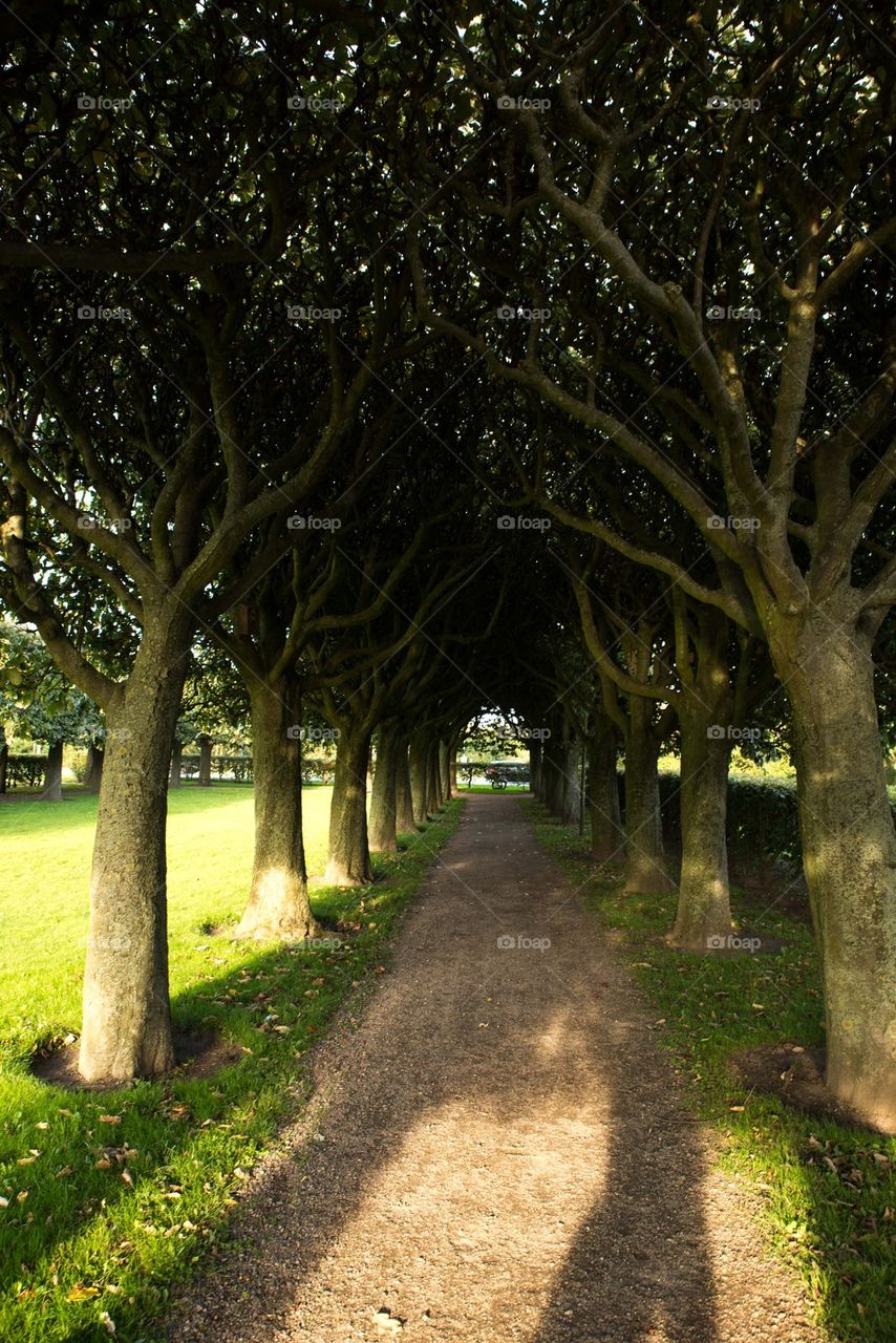 Dirt road between Malmo park