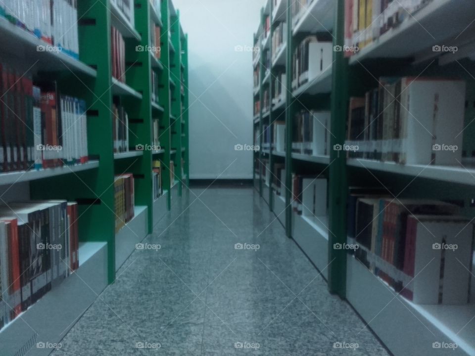 Shelf, Bookcase, No Person, Library, University