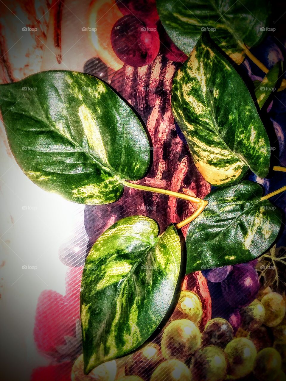 Green Leaves a Different View