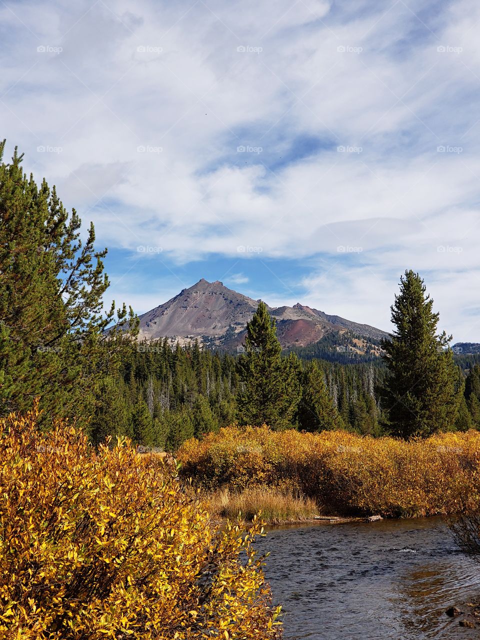 The beautiful Soda Creek in the mountains of Oregon with banks covered in golden fall foliage with the South Sister towering in the background. 