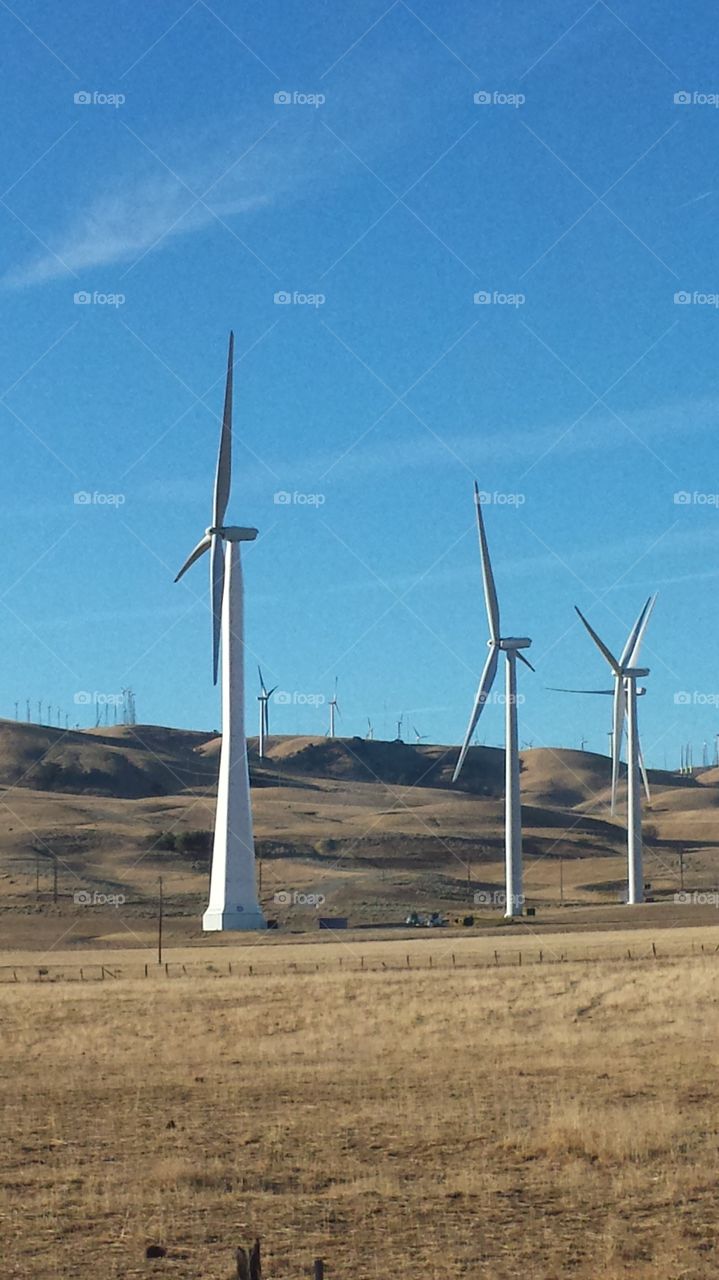 A view of wind turbines along the hills