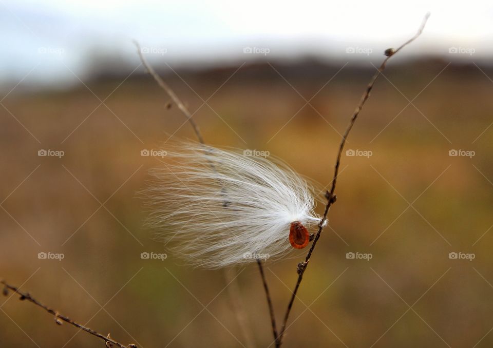 Windy day in Wisconsin 