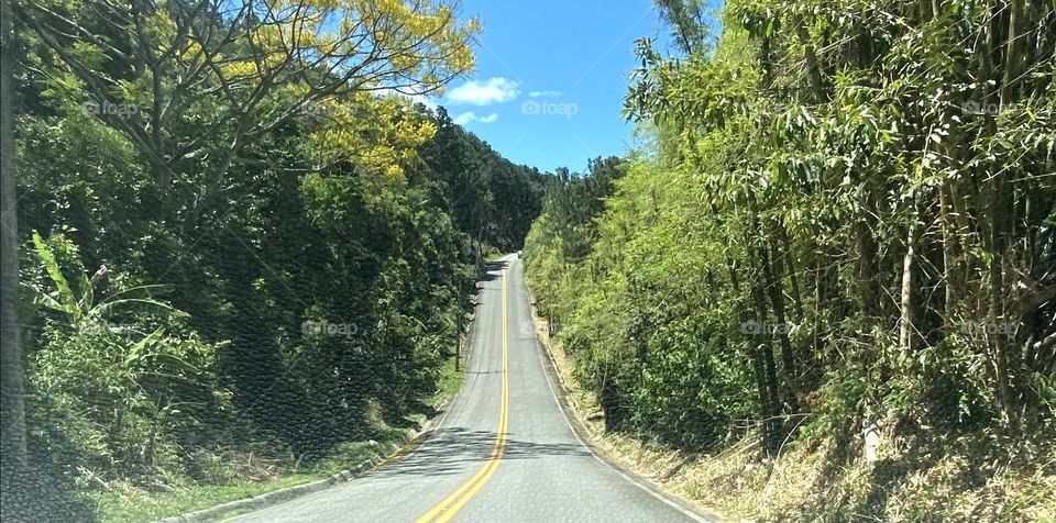 Paths that transmit peace.