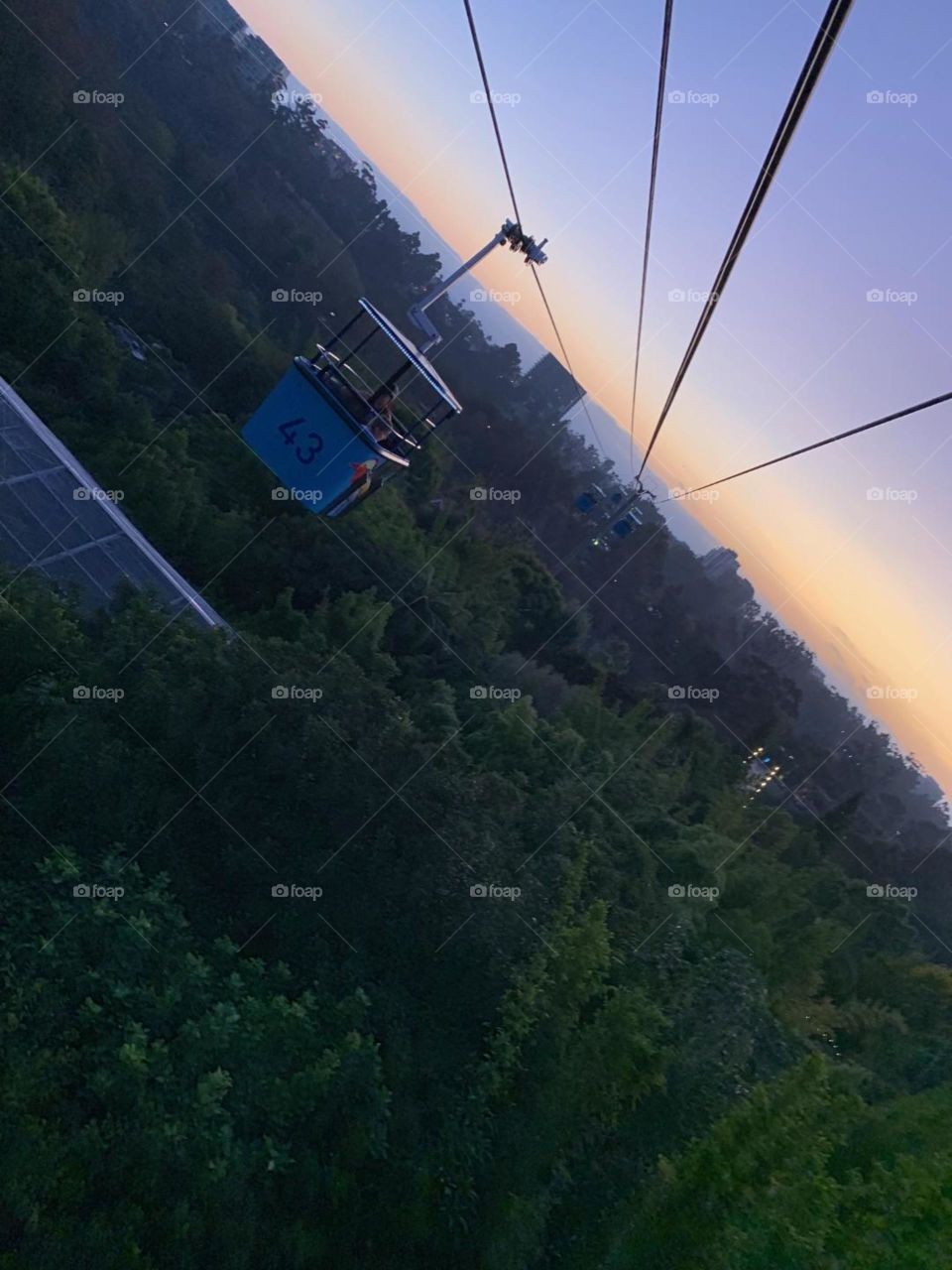 San Diego zoo skyline