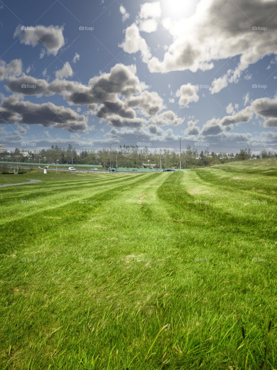 The sky is bright ,but so are the fields of green!  Summer is when nature shows off a bit in Iceland.  Treating one to views like a those you’d expect in a  museum painting.