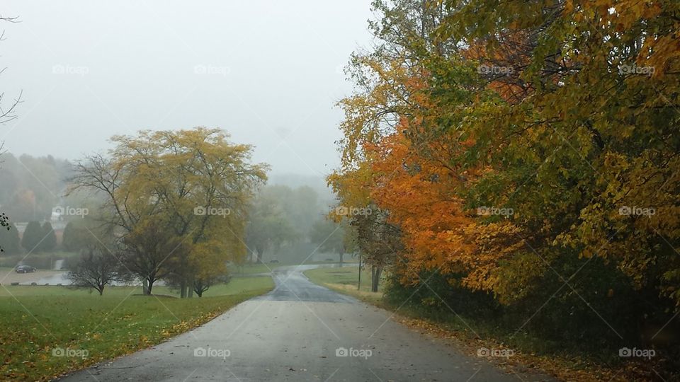 misty fall morning