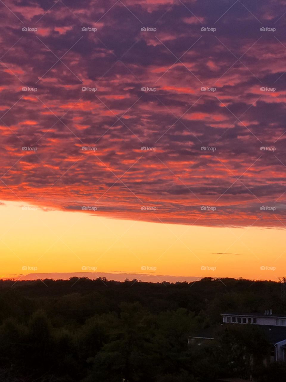 Autumn sky