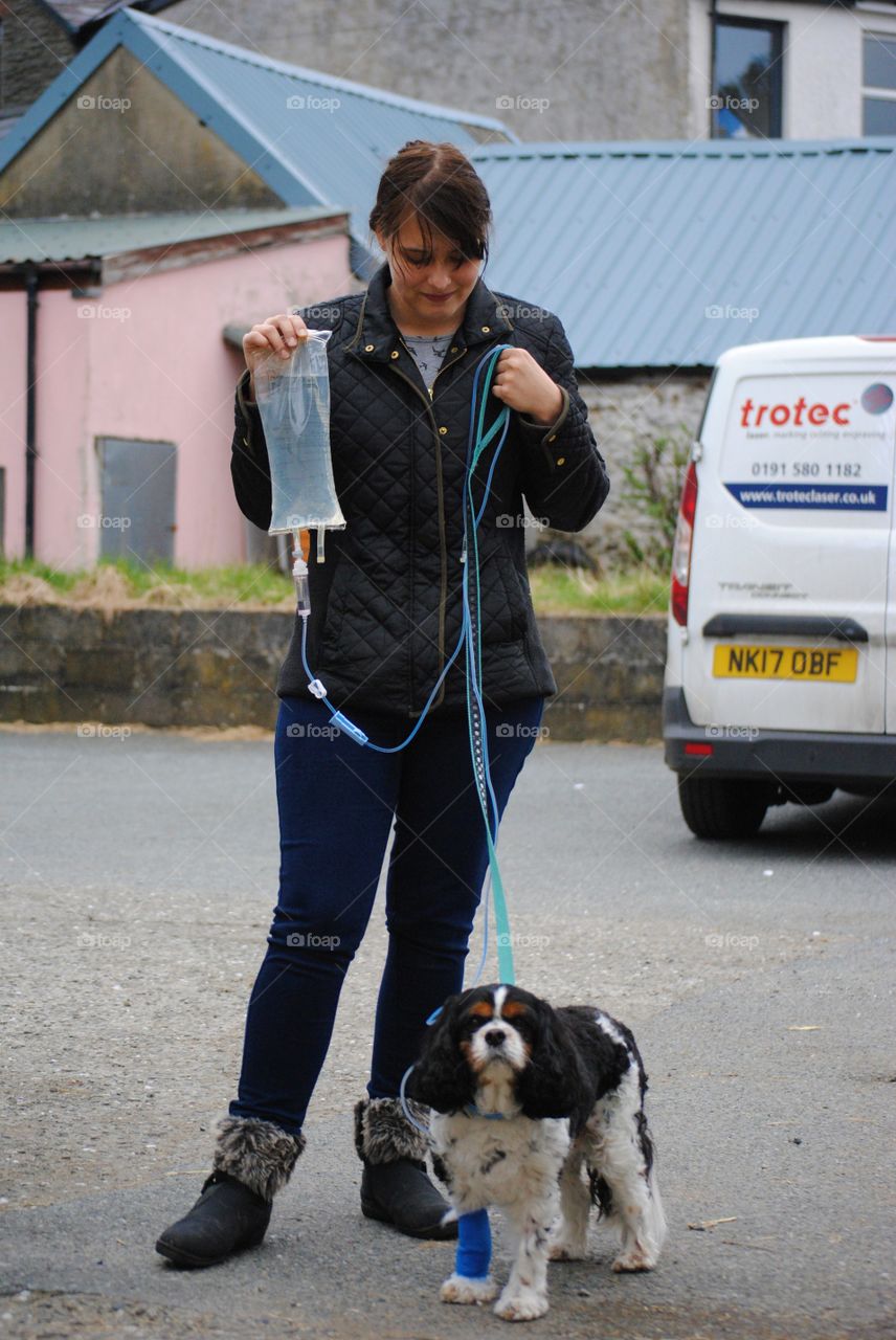 Woman walking a dog whose on a drip. 