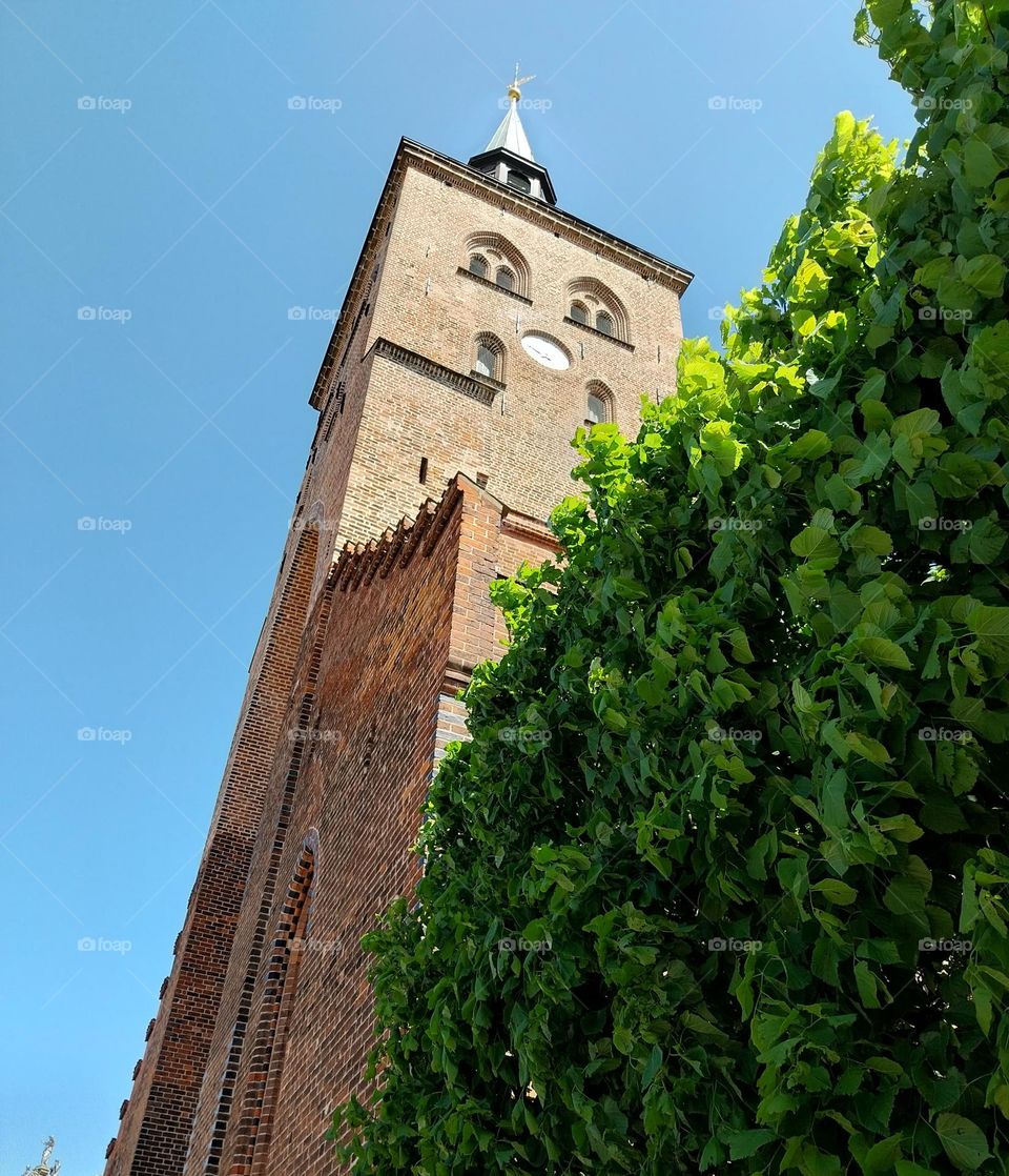 sct knuds kirke odense