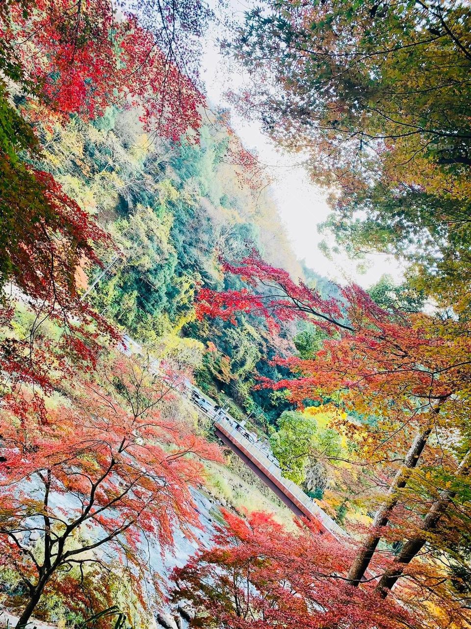 Colorful environment